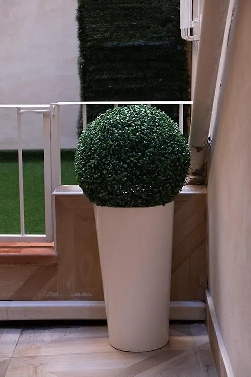 Hotel Provenzale Casa Firenze Affittacamere
